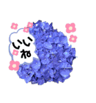 花々4（個別スタンプ：12）