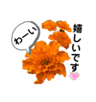 花々4（個別スタンプ：13）