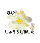 花々4（個別スタンプ：14）