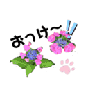 花々4（個別スタンプ：24）