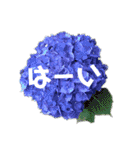 花々4（個別スタンプ：26）