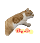 みちくんstamp（個別スタンプ：2）