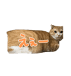 みちくんstamp（個別スタンプ：6）