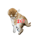 みちくんstamp（個別スタンプ：7）