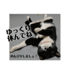 らりるレイレイ ①（個別スタンプ：4）