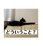 らりるレイレイ ①（個別スタンプ：11）