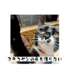 らりるレイレイ ①（個別スタンプ：16）