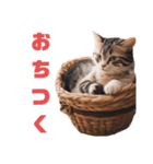 ねこちゃんわーるど（個別スタンプ：10）