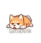 犬のスタンプ（秋田犬）（個別スタンプ：13）