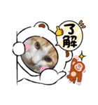 K社長とニャンズ（個別スタンプ：23）
