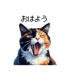 ドット絵 サビ猫 日常会話 40種（個別スタンプ：1）