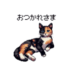 ドット絵 サビ猫 日常会話 40種（個別スタンプ：4）