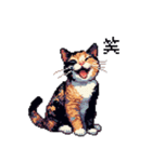 ドット絵 サビ猫 日常会話 40種（個別スタンプ：8）