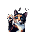 ドット絵 サビ猫 日常会話 40種（個別スタンプ：9）