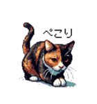 ドット絵 サビ猫 日常会話 40種（個別スタンプ：10）