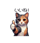 ドット絵 サビ猫 日常会話 40種（個別スタンプ：11）