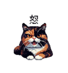 ドット絵 サビ猫 日常会話 40種（個別スタンプ：12）