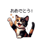 ドット絵 サビ猫 日常会話 40種（個別スタンプ：14）