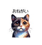 ドット絵 サビ猫 日常会話 40種（個別スタンプ：16）