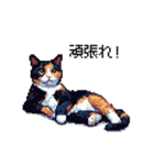 ドット絵 サビ猫 日常会話 40種（個別スタンプ：17）