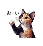 ドット絵 サビ猫 日常会話 40種（個別スタンプ：19）