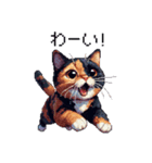 ドット絵 サビ猫 日常会話 40種（個別スタンプ：20）