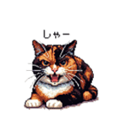 ドット絵 サビ猫 日常会話 40種（個別スタンプ：23）