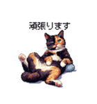 ドット絵 サビ猫 日常会話 40種（個別スタンプ：24）