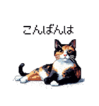 ドット絵 サビ猫 日常会話 40種（個別スタンプ：26）