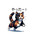 ドット絵 サビ猫 日常会話 40種（個別スタンプ：28）