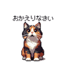 ドット絵 サビ猫 日常会話 40種（個別スタンプ：31）