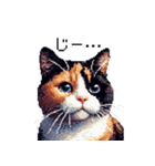 ドット絵 サビ猫 日常会話 40種（個別スタンプ：34）