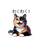 ドット絵 サビ猫 日常会話 40種（個別スタンプ：35）