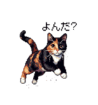 ドット絵 サビ猫 日常会話 40種（個別スタンプ：36）