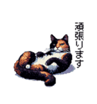 ドット絵 サビ猫 日常会話 40種（個別スタンプ：39）