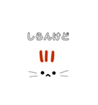 限界オタクねこ（個別スタンプ：16）