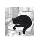 黒猫のシュールなスタンプ（個別スタンプ：5）