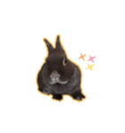 さらららら！ 5（個別スタンプ：4）