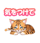 かわいい猫達STAMP（個別スタンプ：7）