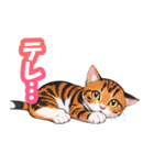 かわいい猫達STAMP（個別スタンプ：20）