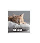 関西弁な猫たち（個別スタンプ：21）