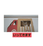 かわいいネコちゃんスタンプ❤️❤️（個別スタンプ：13）