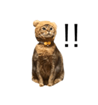 エルちゃんわーるど（個別スタンプ：2）