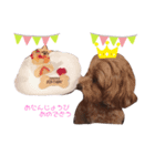 とんかつ犬ココ！！（個別スタンプ：5）