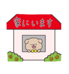 つぶらな瞳のわんこ（個別スタンプ：30）