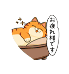 猫のトラ吉ちゃん（個別スタンプ：6）