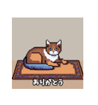 猫の日常会話メッセージ（ピクセル）（個別スタンプ：16）