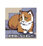 猫の日常会話メッセージ（ピクセル）（個別スタンプ：32）