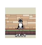 猫の日常会話メッセージ（ピクセル）（個別スタンプ：34）