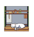 猫の日常会話メッセージ（ピクセル）（個別スタンプ：35）